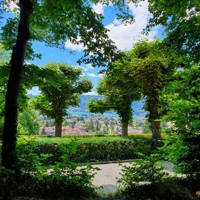 ASI09932820's profile picture. 