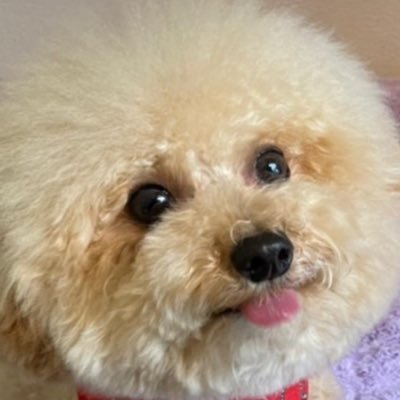 ＵＧ1028さんのプロフィール画像
