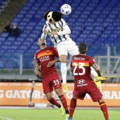 lucarrr5's profile picture. Luca#5804