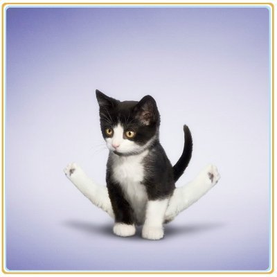 Dave32309504's profile picture. 