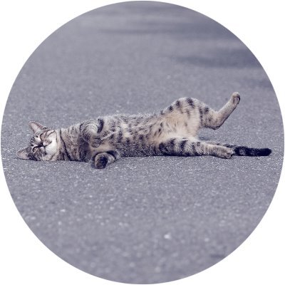 fotoPeachPit's profile picture. ˙ǝuoʎuɐ ʇnoɥʇıʍ plɹoʍ ∀
(˙pǝpǝǝu sǝıldǝɹ puɐ s,Wᗡ ou 'uoıʇɔǝuuoɔ ɐ ɹoɟ ɓuıʞool ʇou ɯɐ I)*