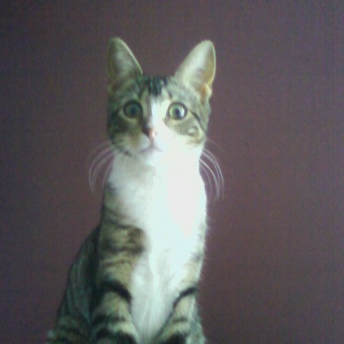 HeatherS916's profile picture. 