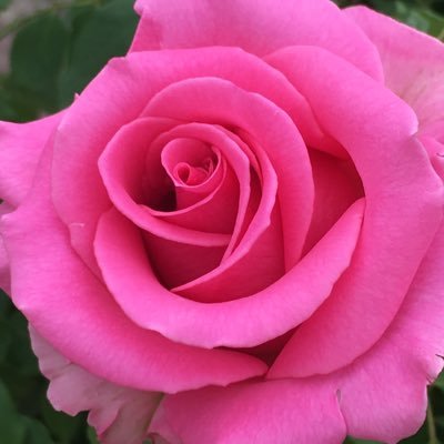 ほうじゅん Hojun Twitter ほうじゅん Hojun Twitter