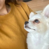 ナツミ (@barzuuu0520) 's Twitter Profile