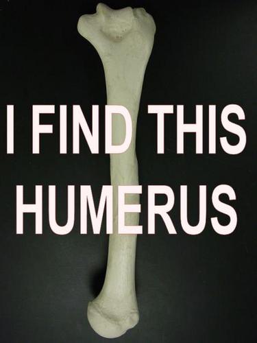 Finding humor in life. LDS.