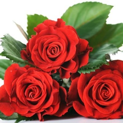 TRose1004's profile picture. Love my family and Bridgerton. HR novels are my world. Anthony/Jonny stan. Kanthony forever 💜🌷🐝🧲