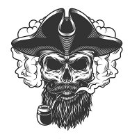 CptBitBeard (@bit_cpt) 's Twitter Profile