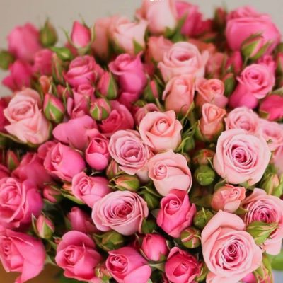 Hasos28128493's profile picture. 