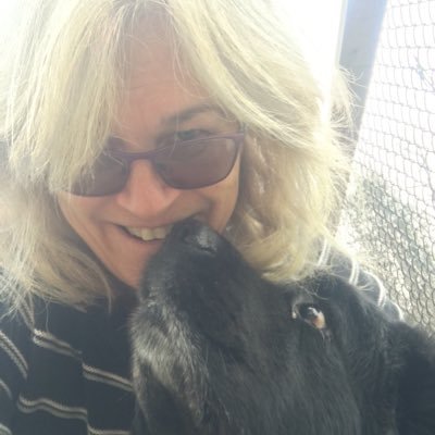 FionaWilliams3's profile picture. 