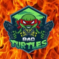 Bad Turtles 🐢 (@mauvaisetortue) 's Twitter Profile Photo
