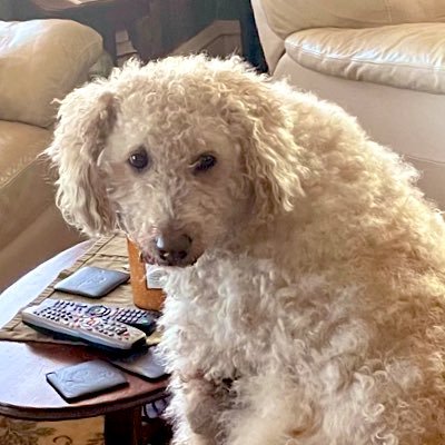 slapshotkids's profile picture. 