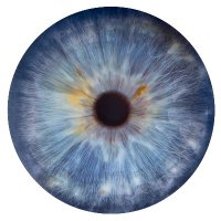 Kremkow Lab (@kremkowl) 's Twitter Profile Photo Kremkow Lab (@kremkowl) 's Twitter Profile Photo
