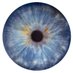 Kremkow Lab (@kremkowl) Twitter profile photo Kremkow Lab (@kremkowl) Twitter profile photo