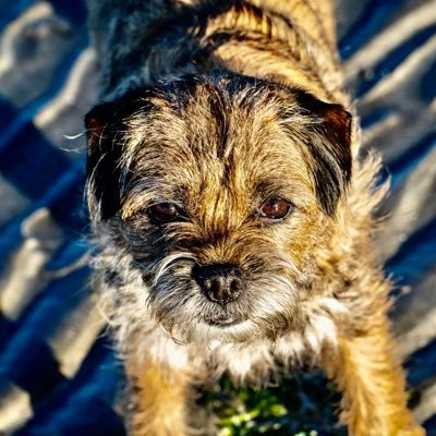 Maggie_the_BT Profile Picture