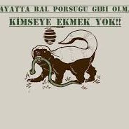 209ates571's profile picture. DAHA YÜKSEĞE