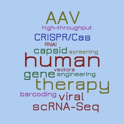 Research team at Heidelberg University (Germany) focusing on next-gen AAV & bocavirus vectors for human gene therapy #AAV #genetherapy #biotech #biotechnology
