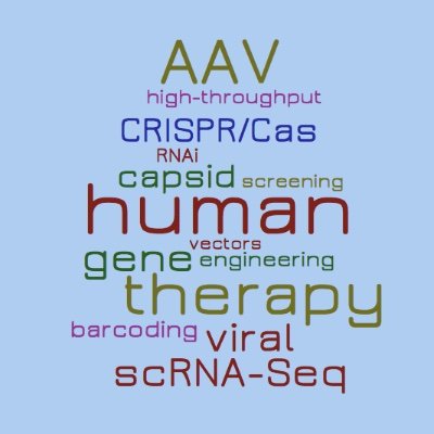 Research team at Heidelberg University Hospital (Germany) focusing on next-gen AAV vectors for human gene therapy #AAV #genetherapy #biotech #biotechnology