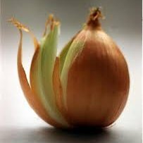 I like to peel the onion. I'm anti-globalist & anti-political correctness. Screw cancel culture and wokeness. A-holes come in all shapes & colors.