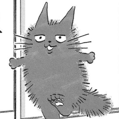 곰돌さんのプロフィール画像