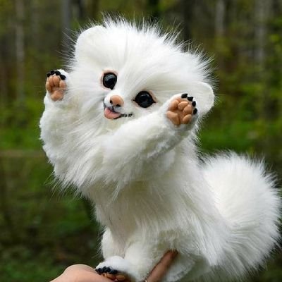 Pandoshi2's profile picture. semper in altum suko