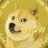 DogecoinYour Twitter Indian User 1366534466617884679