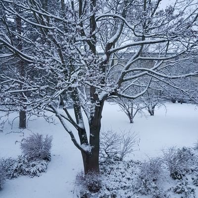 pier_berlin's profile picture. 