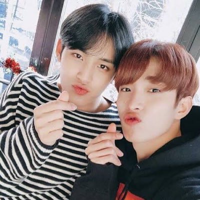 0218_0406svt's profile picture. ギュソク、ヒポチ🐶🍕🦊🍒/EN-🦮/TBZ🍞 推しはわんこ