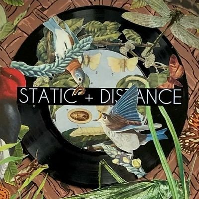 Static + Distance 𓅾