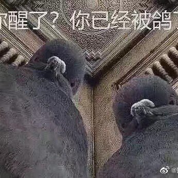 5ET18w5AQpKr08l's profile picture. 尸体号