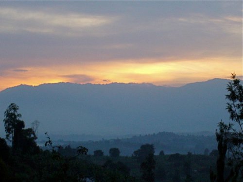 RuwenzoriLove's profile picture. Promoting Ugandans, improving lives through counseling, education, and care of the HIV/AIDS infected. Also encouraging self-help initiatives and microloans!