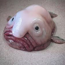 WinterbothamG's profile picture. 