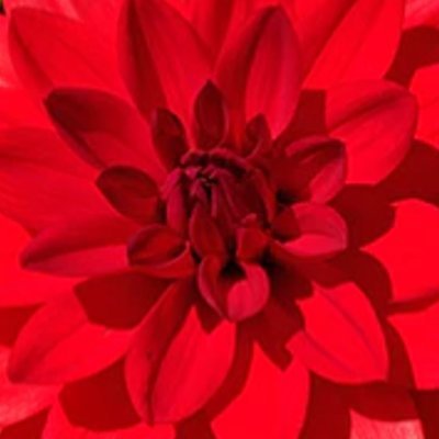 Elpatri16's profile picture. 