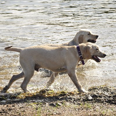 aquairon4's profile picture. High on life