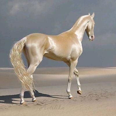 lovelit_'s profile picture. 