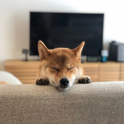 Urvx0XwQ7Mwx9LH's profile picture. 
