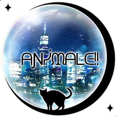🐈ᗩƝᓰᙢᗩᒪᕮ!!🐕さんのプロフィール画像