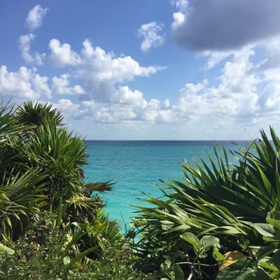 vagabundita_'s profile picture. 映画と、コーヒーと、美味しいスイーツがあれば幸せ♥︎
Empty your mind, be formless, shapeless - like water.