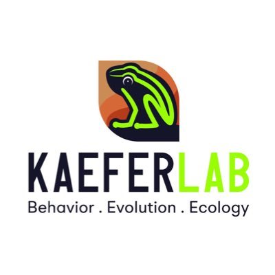 Highly motivated researchers seeking to unveil animal behavior, evolution and ecology. Based at the Federal University of Amazonas @UFAM_. Led by Igor L. Kaefer