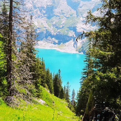 MobileApps306's profile picture. 