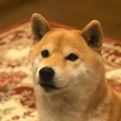 GJlpkXLNfEyV7uY's profile picture. リハビリテーションに携わる仕事をしています。FX、株取引で可処分所得向上を目指しています。