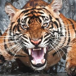 ebueno2891's profile picture. Uribista al 100%.   Firmemente convencido en la mano firme con corazon grande!