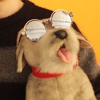90 (@soolddeok) 's Twitter Profile