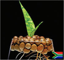 HydroballSA's profile picture. Hydroball (LECA), is an excellent growing medium for plants & vegetables in a Hydroponic or Aquaponics environment. Need Info? sales@hydroball.co.za