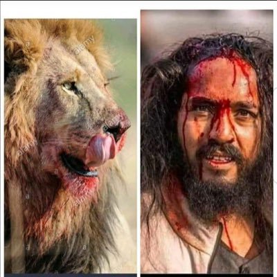 KisaanMajdrektz's profile picture. save farmers