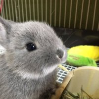 おっさん (@efuintwfthje5ha) 's Twitter Profile