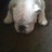 dunny1281's profile image
