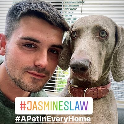 #JasminesLaw seeks to eradicate unfair “no pet” clauses in tenancy agreements. Media/PR: JasminesLaw@outlook.com #APetInEveryHome