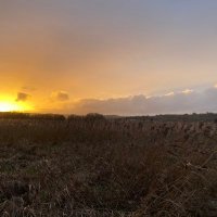 To Madeira Samba (@tomadeirasamba) 's Twitter Profile