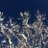 道東より道ろまん East Hokkaido_Travel JapanのTwitterプロフィール画像