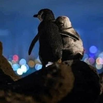 UniversitEPub's profile picture. Digital education. Integrating Academic Research, Business Knowledge and Experience to Inspire Learning (sm)